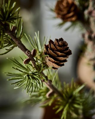 Celý tým 𝗞𝗶𝘁𝗰𝗵𝗲𝗻𝗲𝘁𝘁𝗲 𝗦𝗵𝗼𝗽 vám děkuje nejen za uplynulý rok 2025 a přejeme vám krásné Vánoce a skvělý start do nového roku ✨.